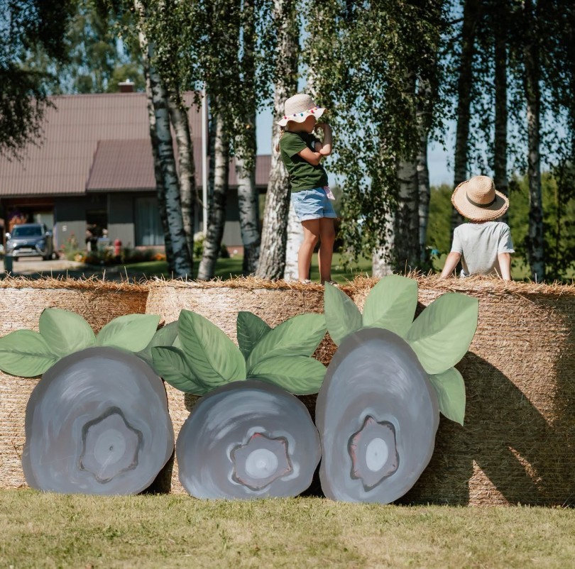 „Šilauogių festivalis“